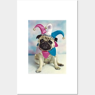 Pug Dog Jester Joker Posters and Art